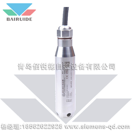 佰锐德投入式液位传感器-BRDCYW15...系列